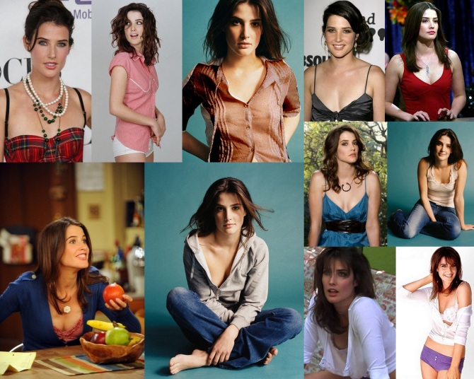 Cobie Smulders  Bar None Wallpaper - click on the shot for a wallpaper (AlKHall Booze Revooze Audio Dregs)